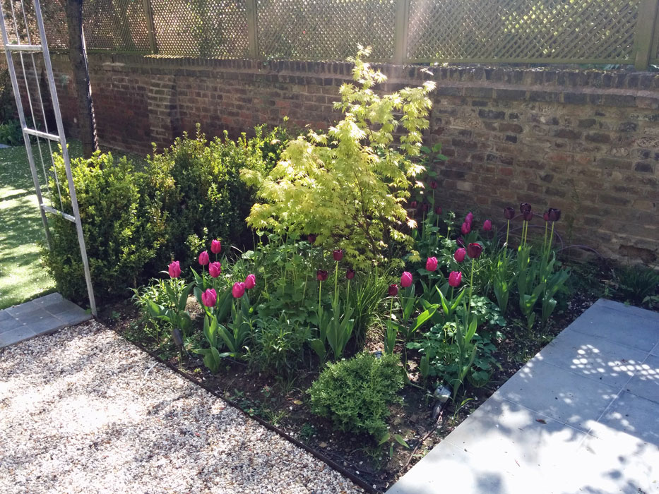 Square of planting with Spring bulbs